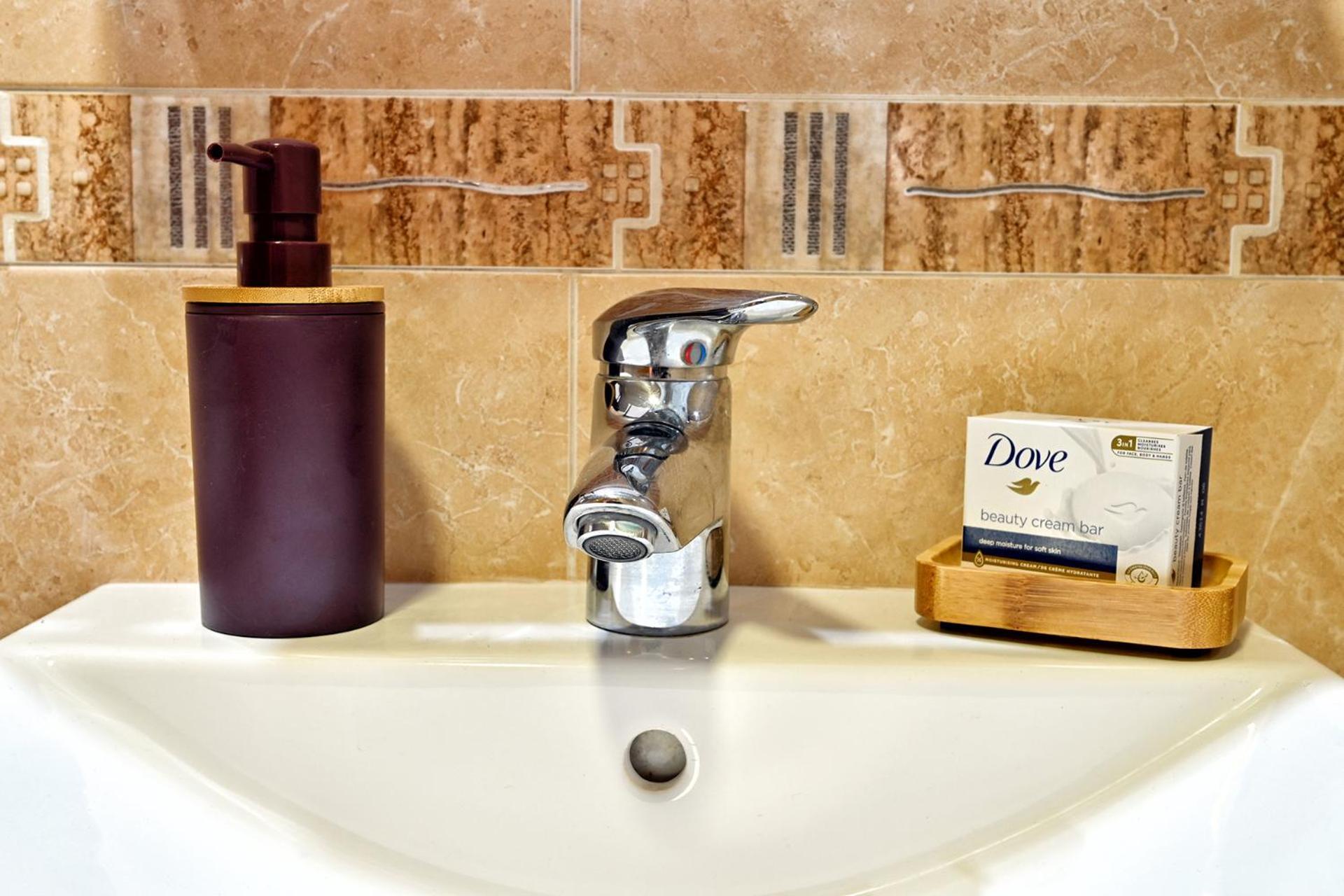 Apartament Mitcentro